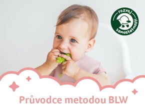 Průvodce metodou BLW