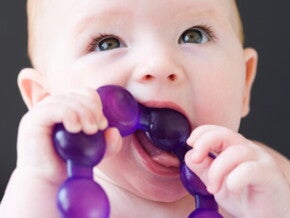 první zoubky první zoubky