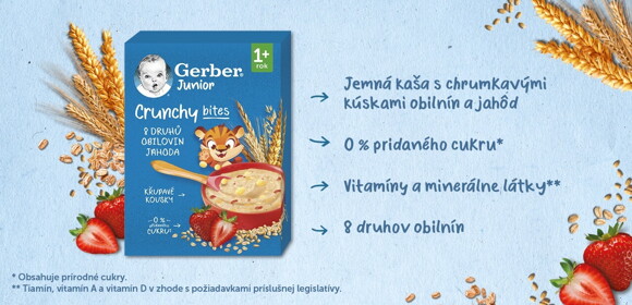 GERBER Junior nemliečna kaša jahodová 200 g