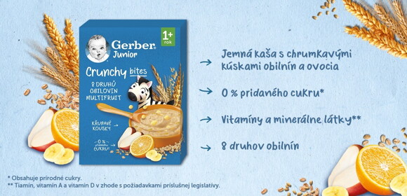 GERBER Junior nemliečna kaša ovocná 200 g