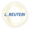 PROBIOTIKA L. reuteri  PROBIOTIKA L. reuteri